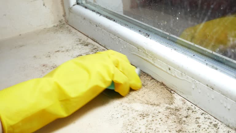 Forensic Mold Investigation in Hermiston, OR